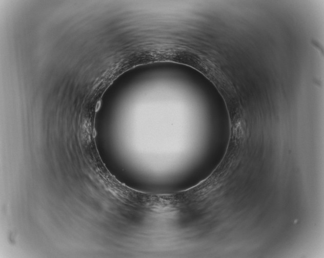 X0000103280772200808291310