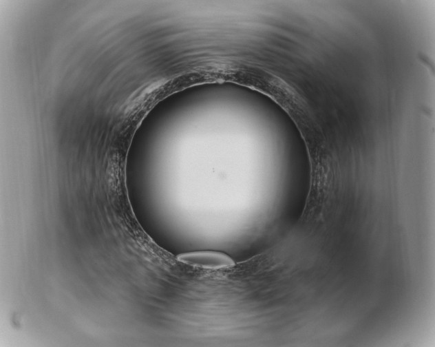 X0000103280773200808291310