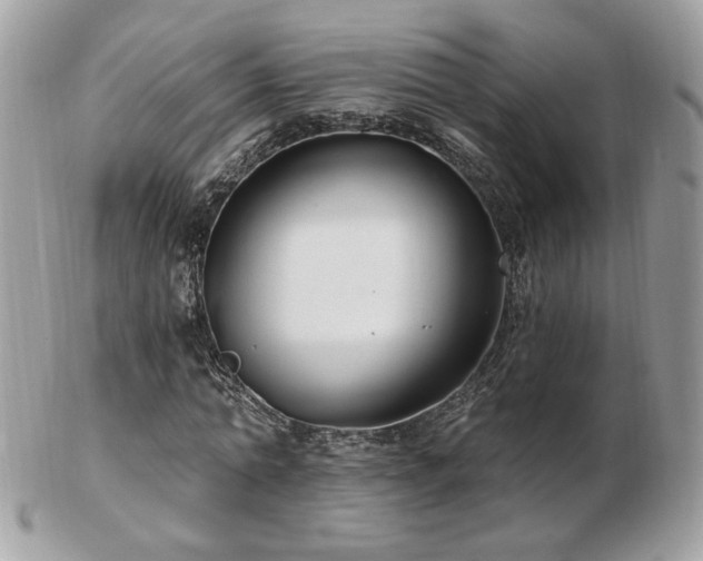 X0000103280774200808291310