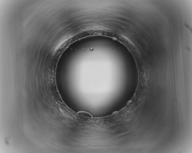 X0000103280775200808291310