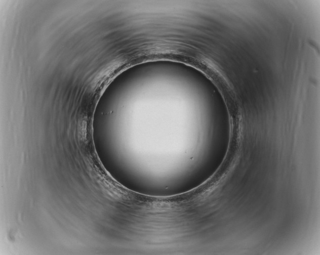 X0000103280777200808291310