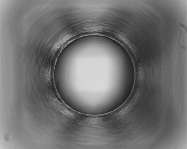 X0000103280778200808291310