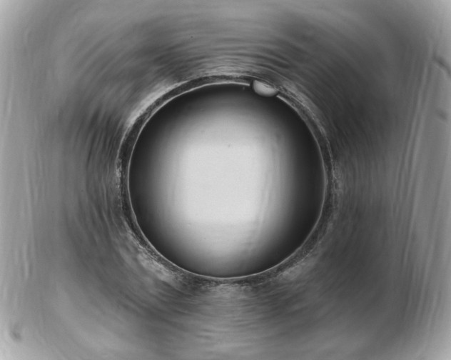 X0000103280779200808291310