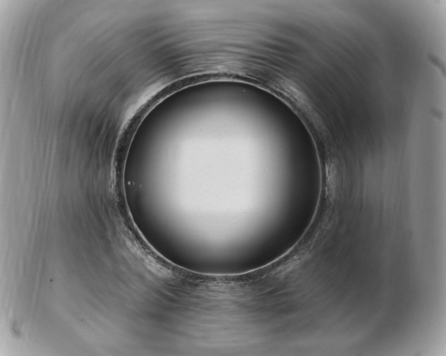 X0000103280780200808291310