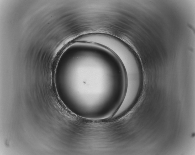 X0000103280781200808291310