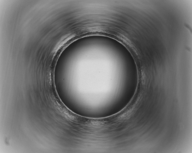 X0000103280782200808291310