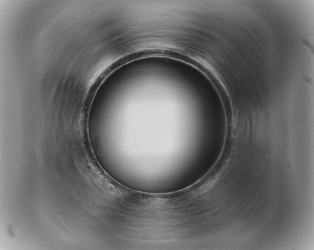 X0000103280783200808291310