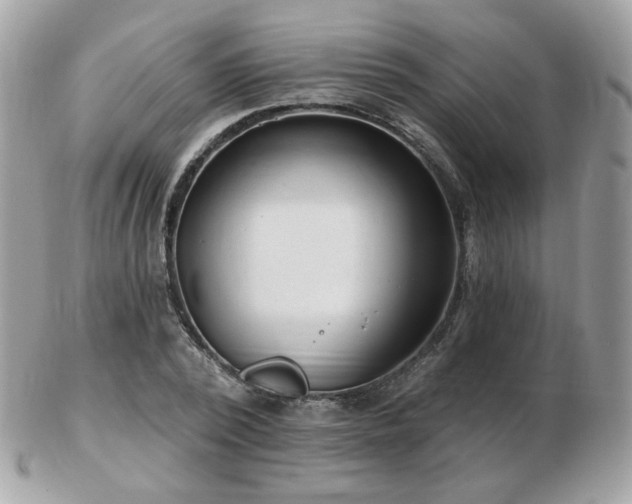 X0000103280784200808291310