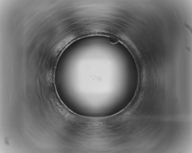 X0000103280785200808291310