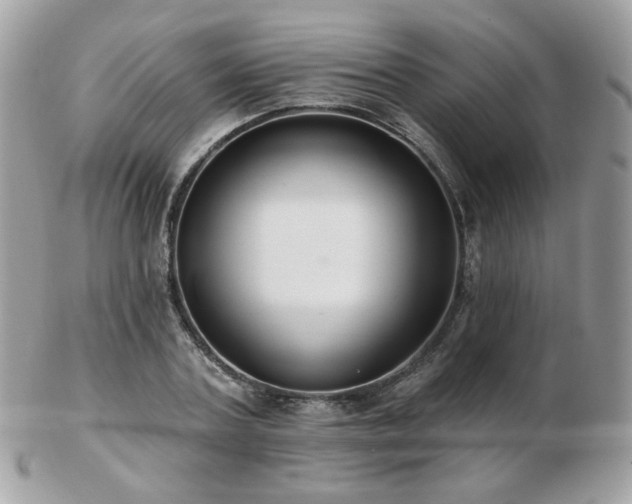 X0000103280787200808291310