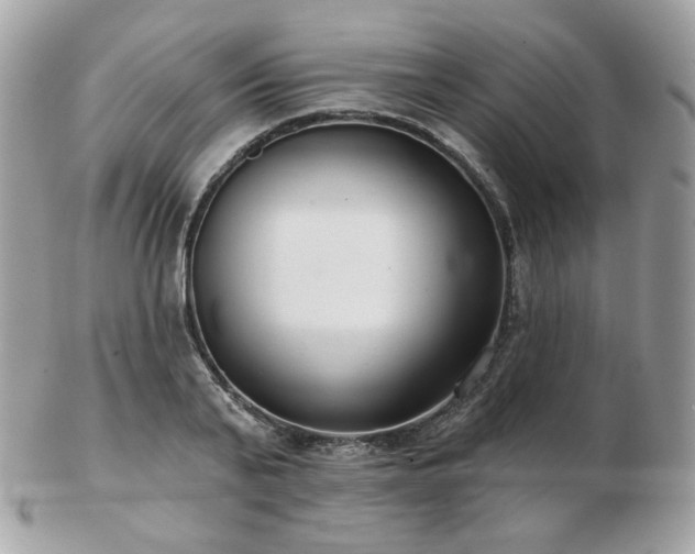 X0000103280791200808291310