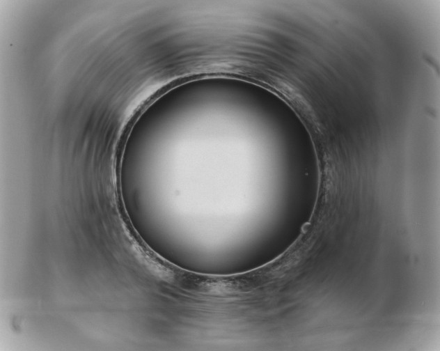 X0000103280792200808291310