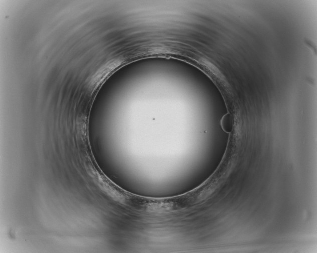 X0000103280793200808291310