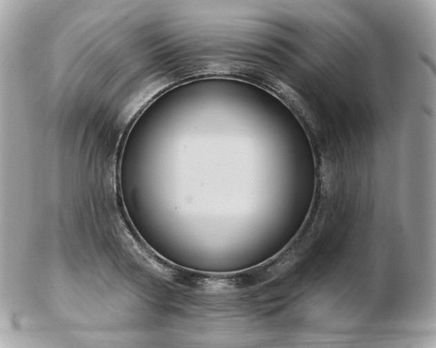 X0000103280794200808291310