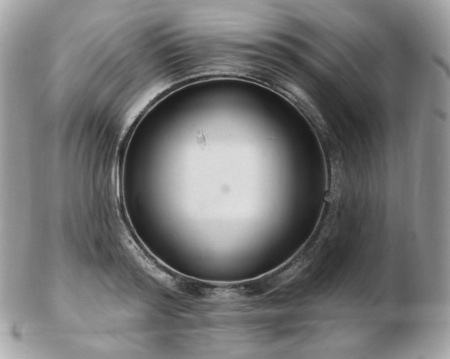 X0000103280796200808291310