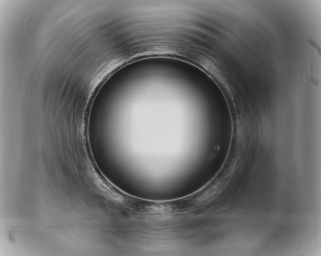 X0000103280797200808291310