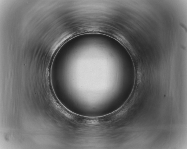 X0000103280798200808291310