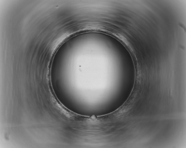 X0000103280799200808291310