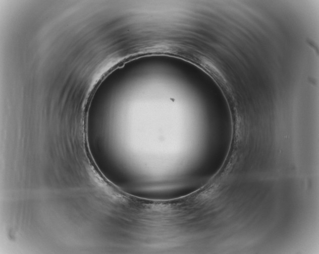 X0000103280800200808291310