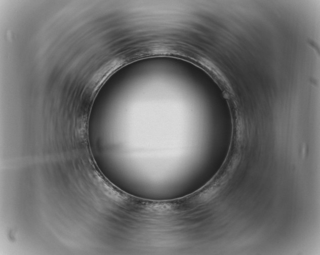 X0000103280801200808291310