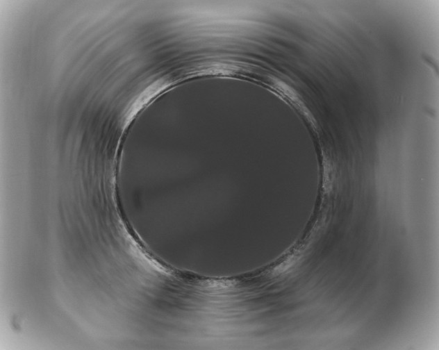 X0000103280802200808291310