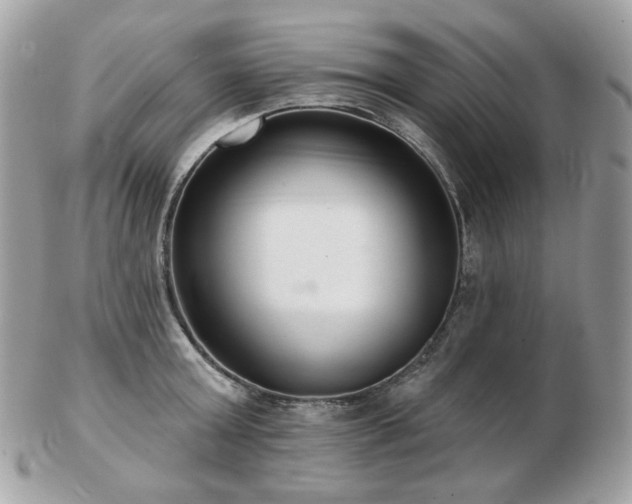 X0000103280803200808291310