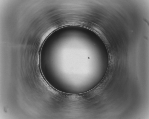 X0000103280804200808291310