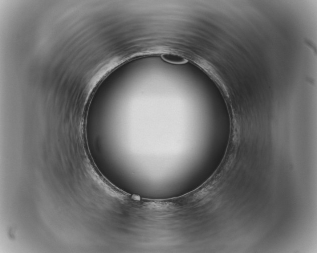 X0000103280805200808291310