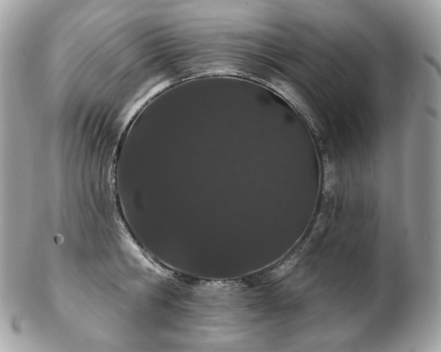 X0000103280806200808291310