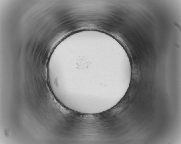 X0000103280807200808291310