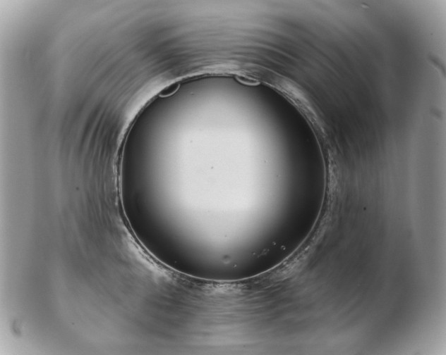 X0000103280808200808291310