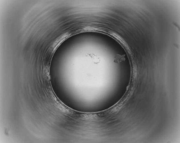 X0000103280809200808291310