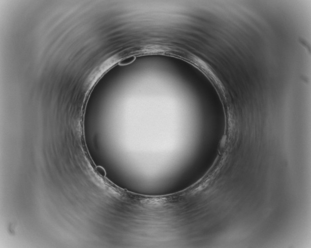 X0000103280810200808291310