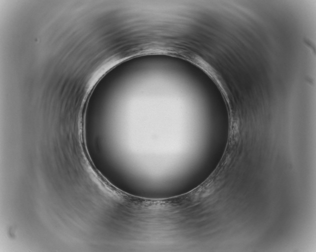 X0000103280811200808291310