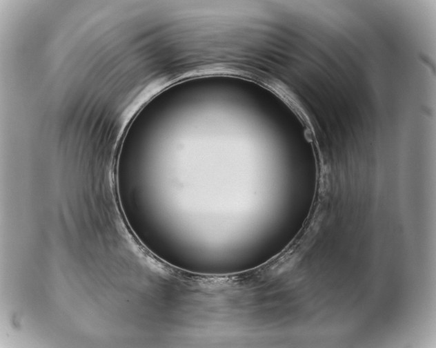 X0000103280813200808291310