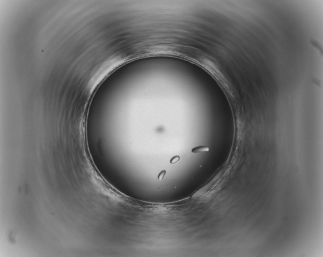 X0000103280814200808291310