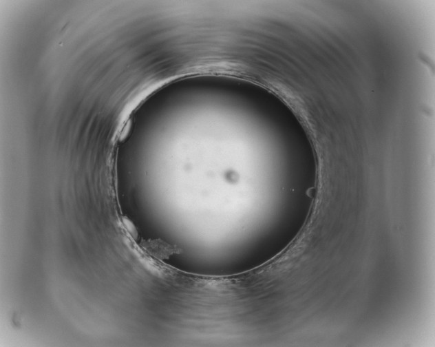 X0000103280816200808291310