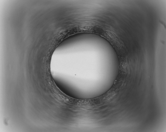 X0000103280817200808291309