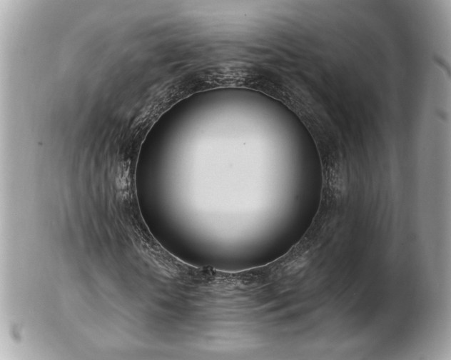 X0000103280818200808291309