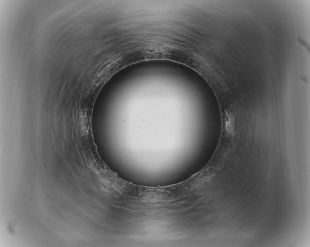 X0000103280819200808291309