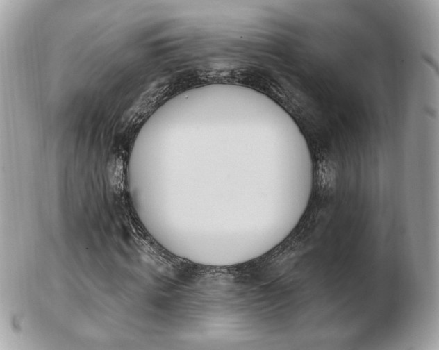 X0000103280820200808291309