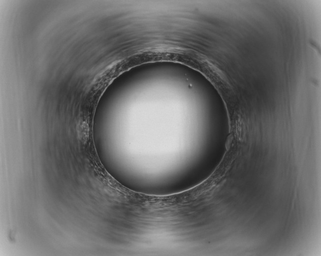 X0000103280821200808291309