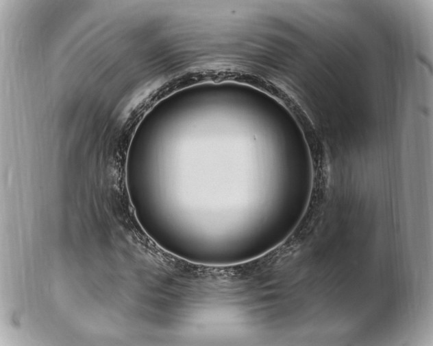 X0000103280823200808291309