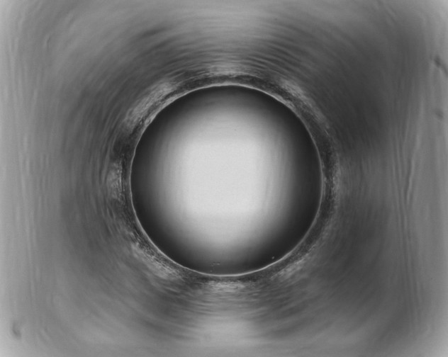 X0000103280825200808291309