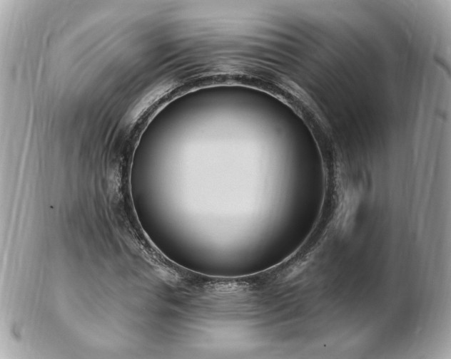 X0000103280826200808291309