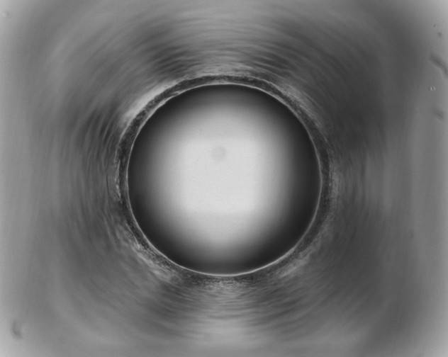 X0000103280830200808291309