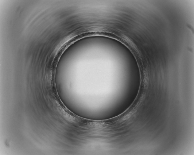 X0000103280831200808291309