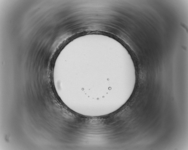 X0000103280832200808291309