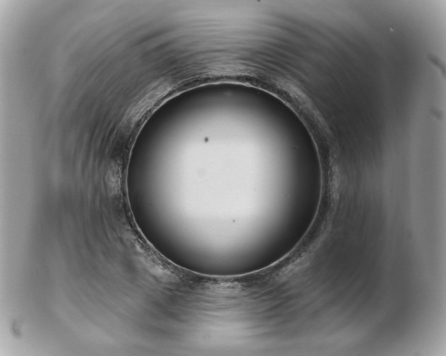 X0000103280833200808291309