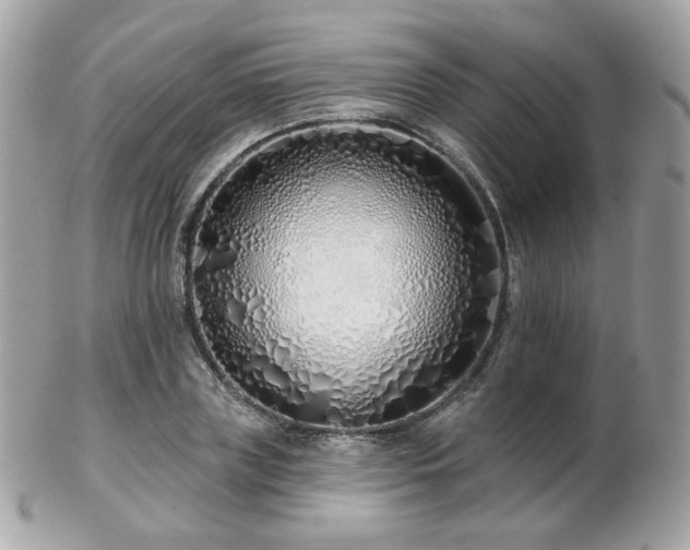 X0000103280835200808291309